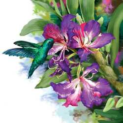 Jigsaw puzzle: Hummingbird