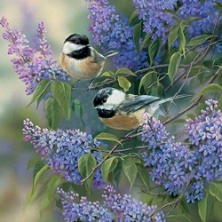 Jigsaw puzzle: Tits and lilacs