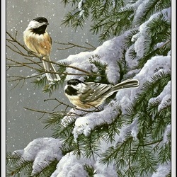 Jigsaw puzzle: Birds in winter