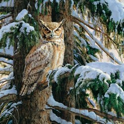 Jigsaw puzzle: Snow covered roost
