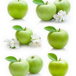 Jigsaw puzzle: Apple collage