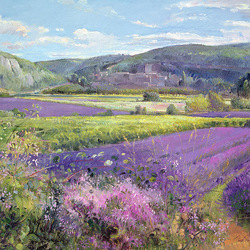 Jigsaw puzzle: Lavender fields