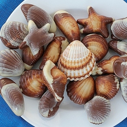 Jigsaw puzzle: Assorted - seashells and sweets
