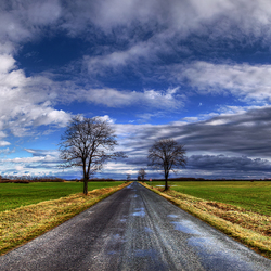 Jigsaw puzzle: Road to the horizon