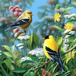 Jigsaw puzzle: Birds on a branch