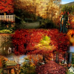 Jigsaw puzzle: Beginning of autumn