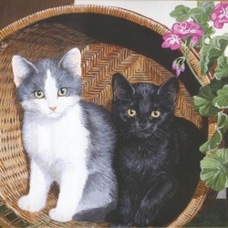Jigsaw puzzle: Two kittens