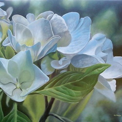 Jigsaw puzzle: Delicate blue flowers