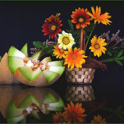 Jigsaw puzzle: Still life with melon