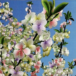 Jigsaw puzzle: Blooming plum