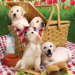 Jigsaw puzzle: Labradors on a picnic