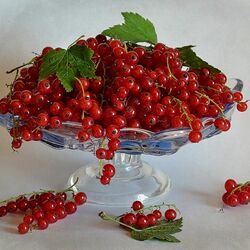 Jigsaw puzzle: Red Ribes