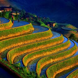 Jigsaw puzzle: Rice fields of China