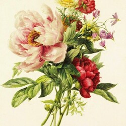 Jigsaw puzzle: Bouquet with peonies and other flowers