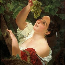 Jigsaw puzzle: Girl picking grapes