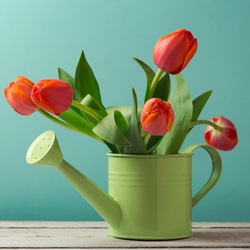 Jigsaw puzzle: Classic tulips