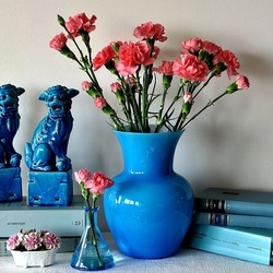 Jigsaw puzzle: Ruddy carnations in blue