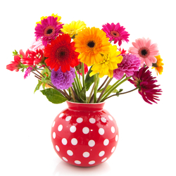 Jigsaw puzzle: Gerberas on my table