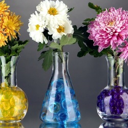 Jigsaw puzzle: A row of chrysanthemums