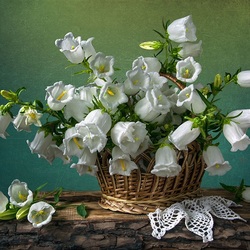Jigsaw puzzle: White bells