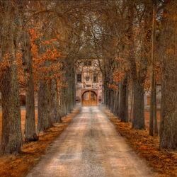 Jigsaw puzzle: Autumn alley