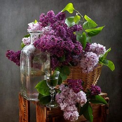 Jigsaw puzzle: Lots of lilacs