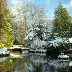 Jigsaw puzzle: Winter in the park