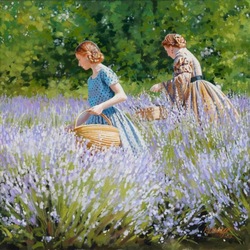 Jigsaw puzzle: Harvesting lavender