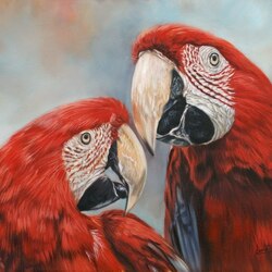 Jigsaw puzzle: Red parrots