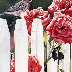 Jigsaw puzzle: Birdie and roses