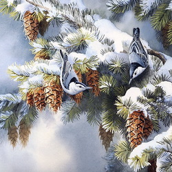 Jigsaw puzzle: First snow. Nuthatches