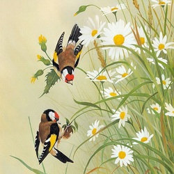 Jigsaw puzzle: Goldfinches