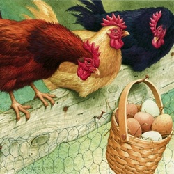 Jigsaw puzzle: Chickens and eggs