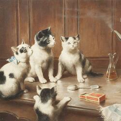 Jigsaw puzzle: Kittens on the table