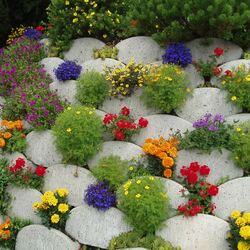 Jigsaw puzzle: Flower bed