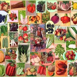 Jigsaw puzzle: Assorted vegetables