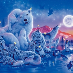 Jigsaw puzzle: polar night