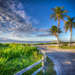 Jigsaw puzzle: Road to the beach