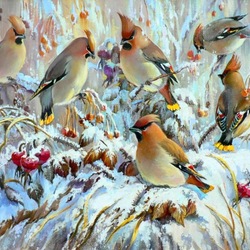 Jigsaw puzzle: The waxwings have arrived