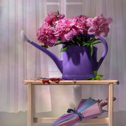 Jigsaw puzzle: Still life with peonies