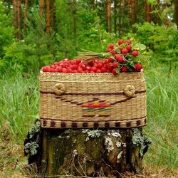 Jigsaw puzzle: Strawberry basket