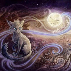 Jigsaw puzzle: Cat full moon