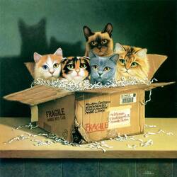 Jigsaw puzzle: Parcel with cats