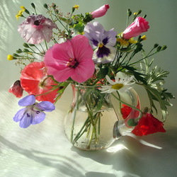 Jigsaw puzzle: Bouquet of wild flowers