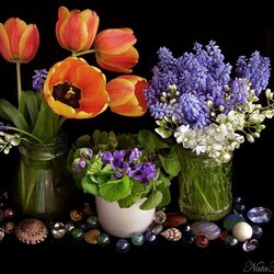 Jigsaw puzzle: Spring bouquets