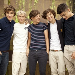 Jigsaw puzzle: One Direction