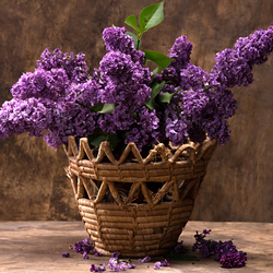 Jigsaw puzzle: The smell of lilac