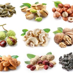 Jigsaw puzzle: Nuts and seeds