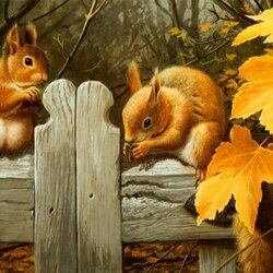 Jigsaw puzzle: Two squirrels