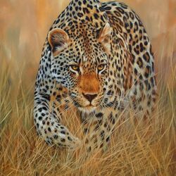 Jigsaw puzzle: Crouching leopard
